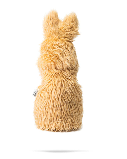 Kangaroo - Driver Cover